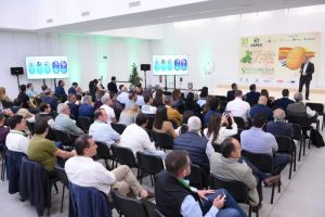 congreso-patata-sevilla