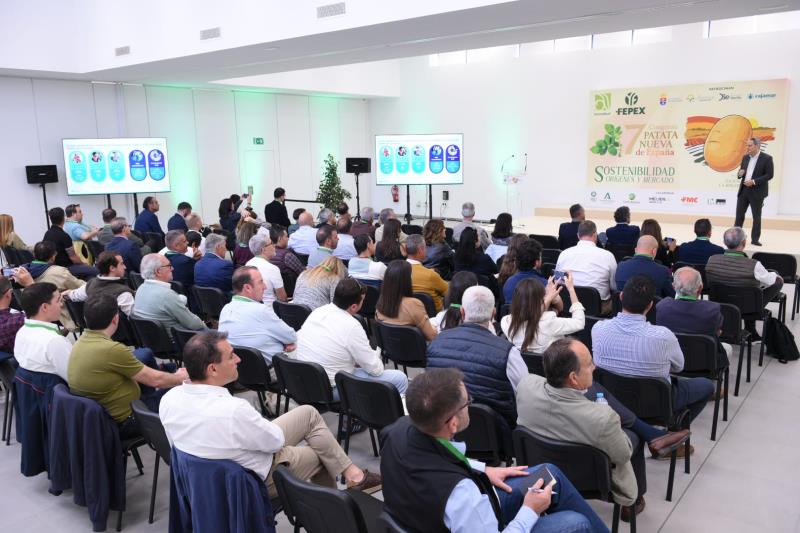 congreso-patata-sevilla