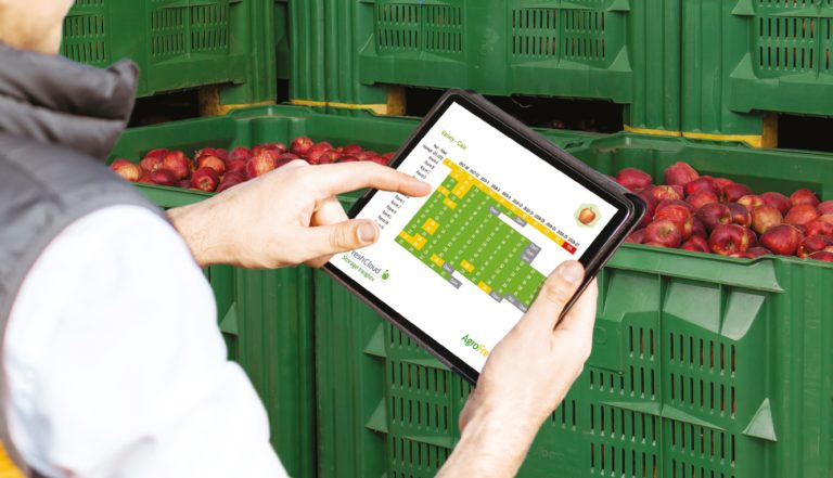 freshcloud man tablet - copia
