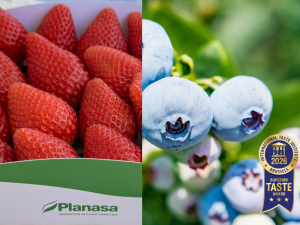 PLANASA
