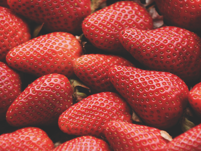 FRUTOS-ROJOS