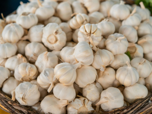 GARLIC-MARKET