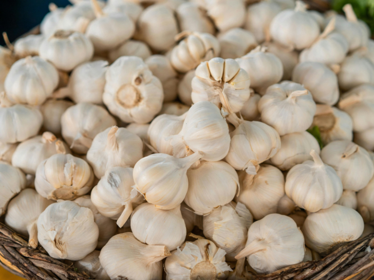 GARLIC-MARKET