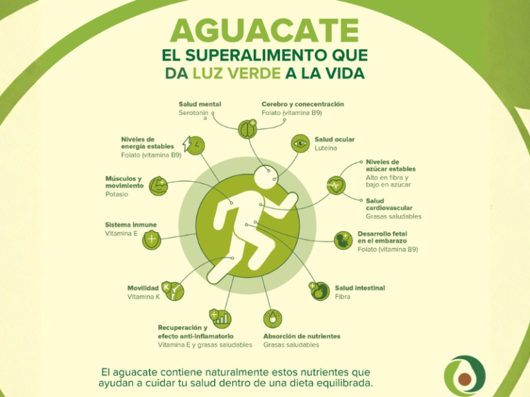 AGUACATE-DIETA-VERANO