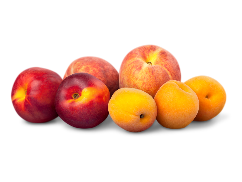 FRUTA-DE-HUESO