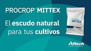 IMAGEN MITTEX