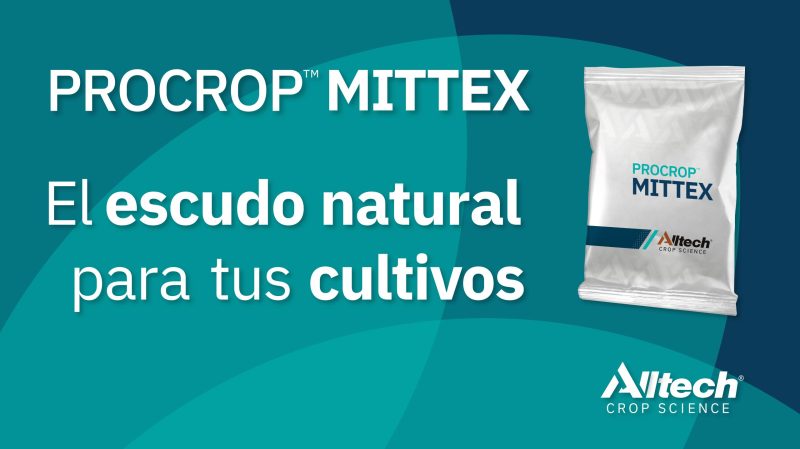 IMAGEN MITTEX