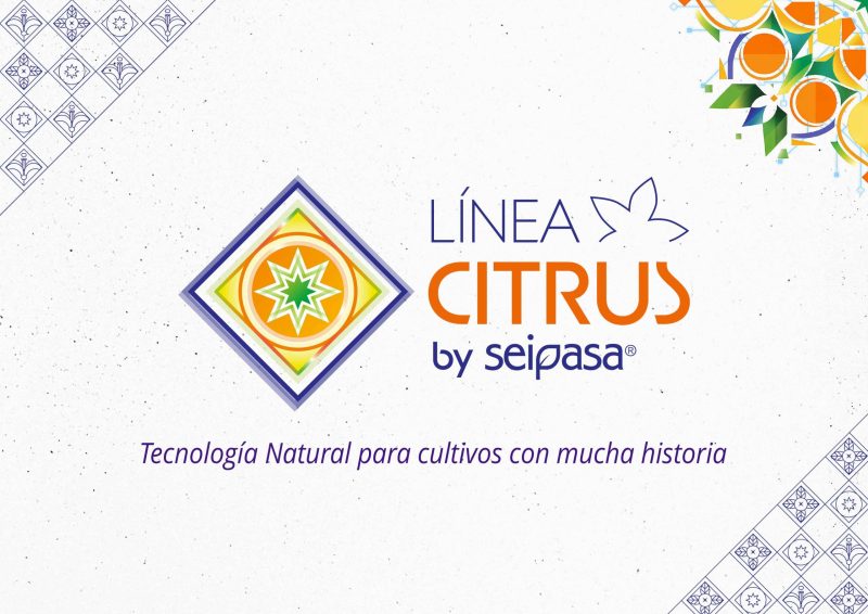 IMG línea Citrus_LQ