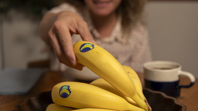 Imagen Plaětano de Canarias
