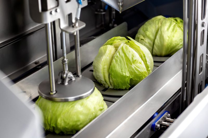 Sormac Lettuce corer OptiCor detail