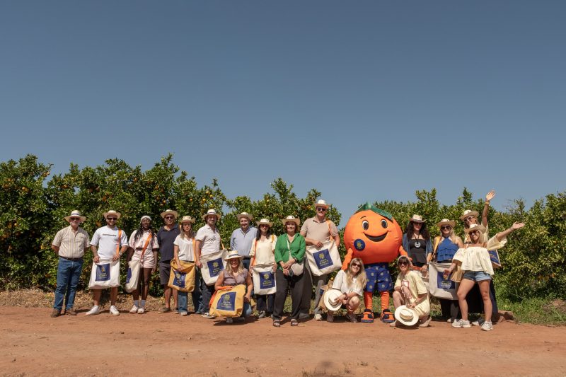algarve-citrus