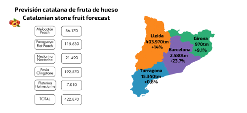 fruta de hueso 3