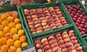 MASYMAS-SUPERMERCADO
