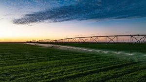 Al Dahra Releases Sustainability Report: From Foundations to Execution