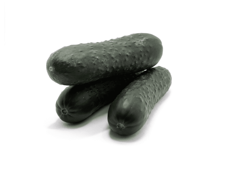 PEPINO-ESPAÑOL-CAPGEN-SEEDS