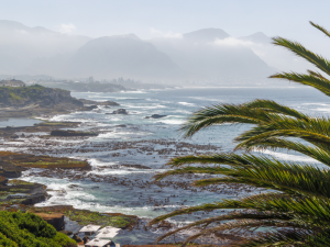 SOUTH-AFRICA