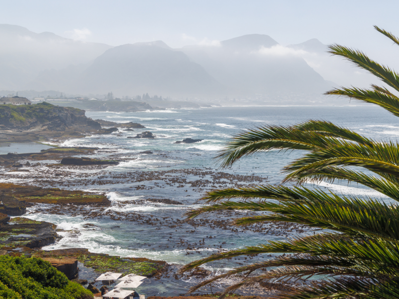 SOUTH-AFRICA