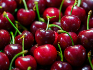 CEREZA-CHILE