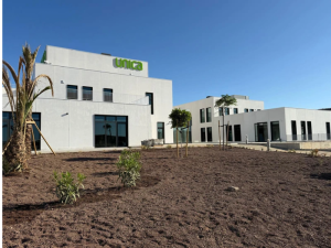 ESCUELA-DE-VERANO-UNICA