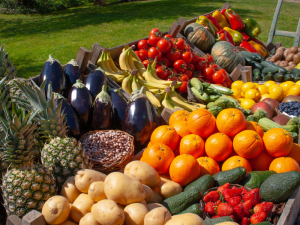EXPORTACIÓN-HORTOFRUTÍCOLA