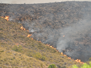 INCENDIO-ALMERÍA