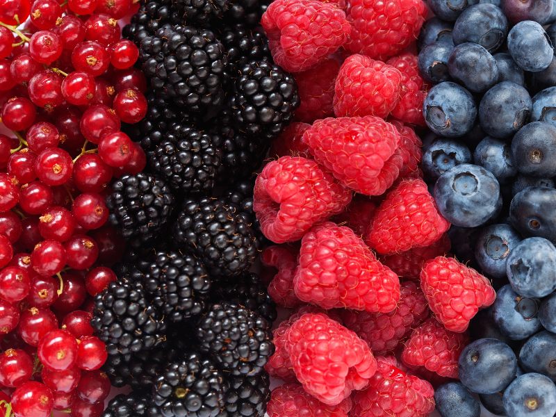 CAMPAÑA-FRUTOS-ROJOS