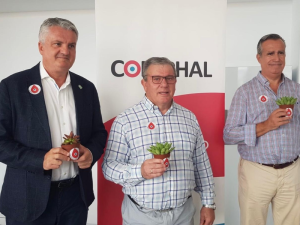 colecta-de-sangre-coexphal
