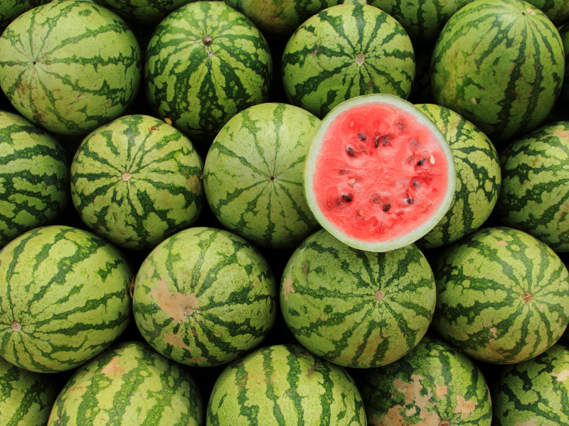 PARAGUAY-WATERMELON