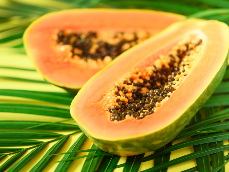 PAPAYA-COLOMBIA