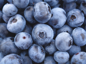 anthocyanin-INTAKE