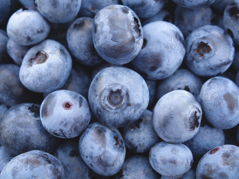 anthocyanin-INTAKE