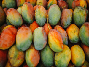 MANGO-BRAZIL