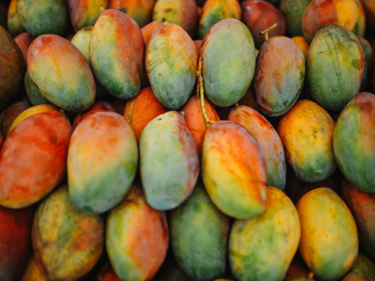 MANGO-BRAZIL
