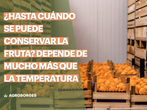 conservación-fruta