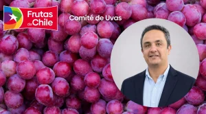 Alvaro-Aspee-FRUTAS-DE-CHILE