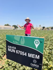 BASF Nunhems BEFE 2026 nueva variedad de Galkia