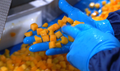 FAM STUMABO_Tridis 240_Peach dicing at Agrophoenix_5
