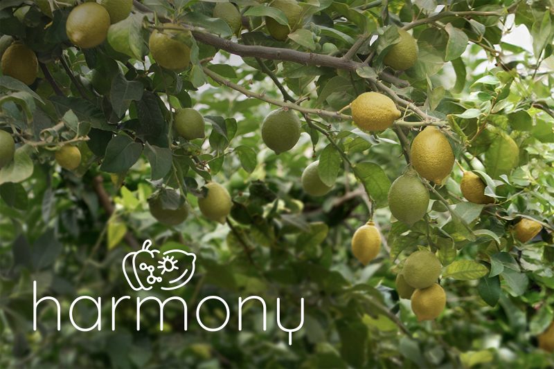 PROYECTO-HARMONY-AGROBÍO