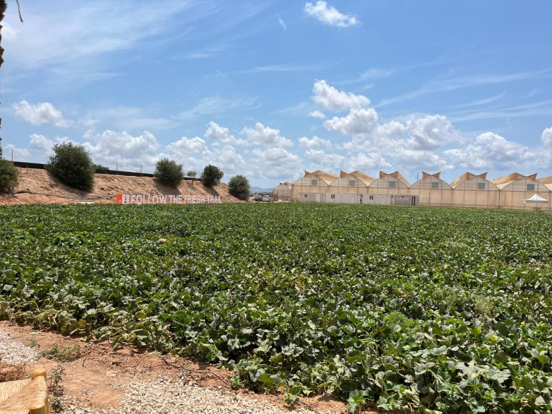 KWS-MELÓN-Y-SANDÍA