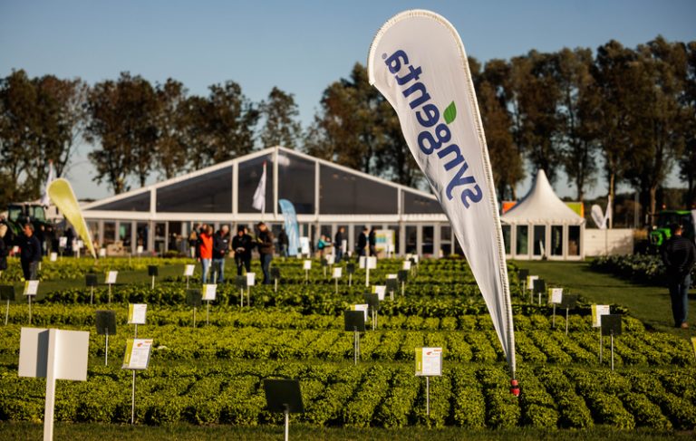 SYNGENTA-FIELD-OF-INNOVATION-CLUBROOT