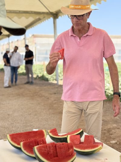 BASF-NUNHEMS-MELON-Y-SANDIA