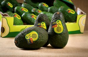 aguacate-paso-lagarto-fruits-rafols