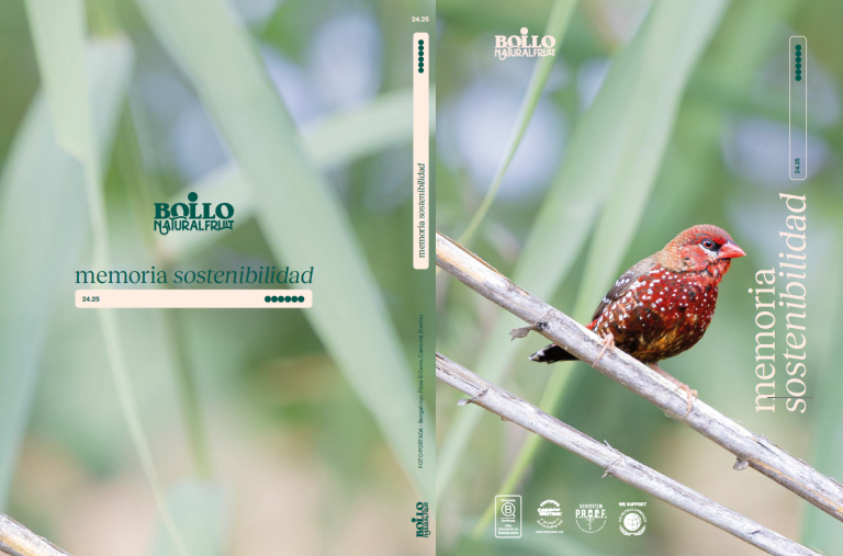 BOLLO-NATURAL-FRUIT