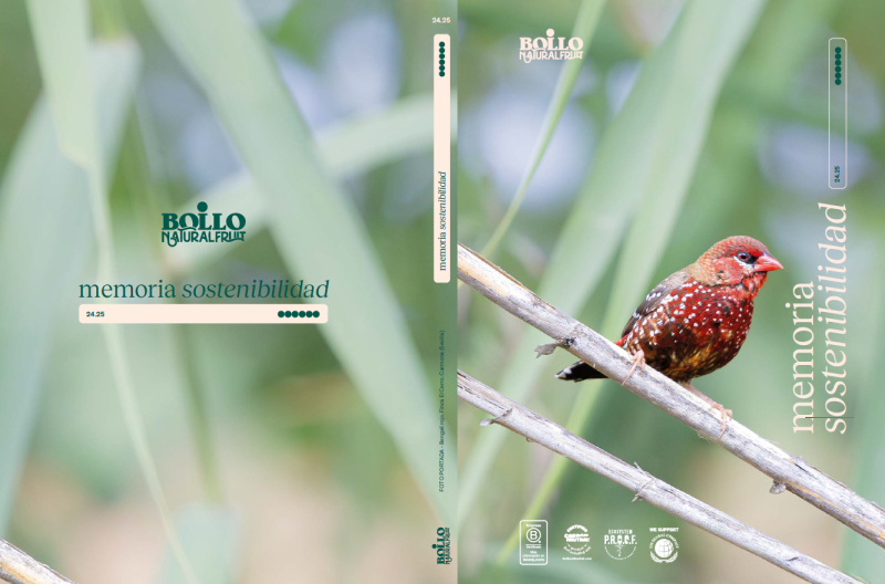 BOLLO-NATURAL-FRUIT