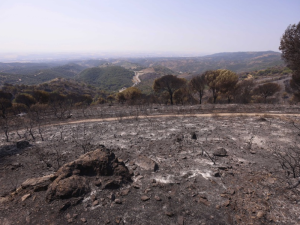 INCENDIOS-ESPAÑA