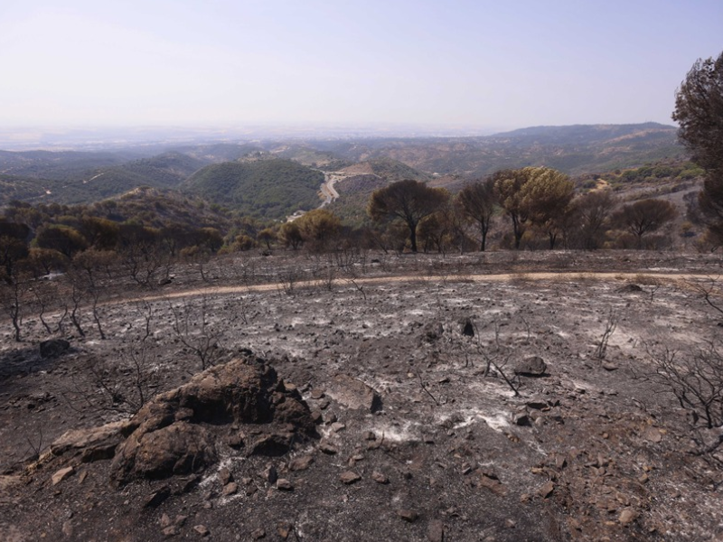 INCENDIOS-ESPAÑA