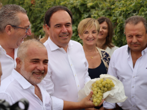 UVA-DEL-VINALOPÓ