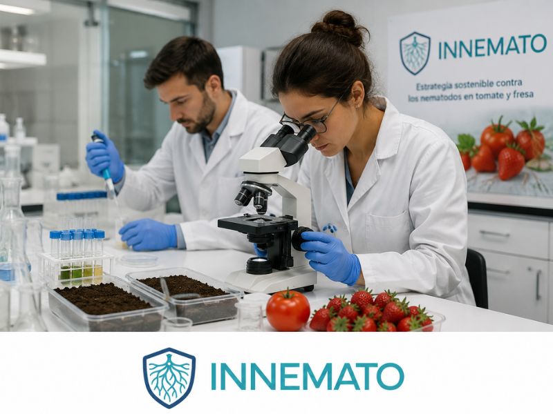 GRUPO-OPERATIVO-INNEMATO