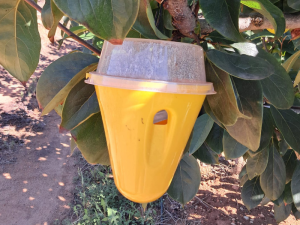 ROBOS-EN-EL-CAMPO