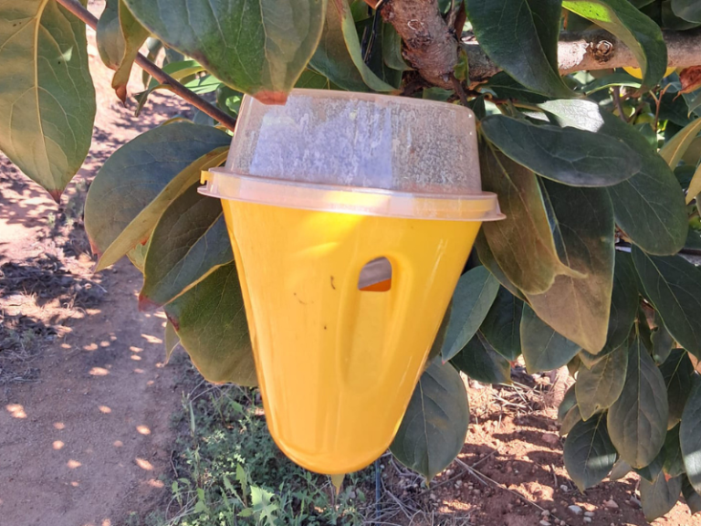 ROBOS-EN-EL-CAMPO